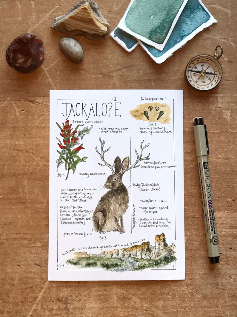 Jackalope Feldbericht - Giclée Druck 5x7 inches