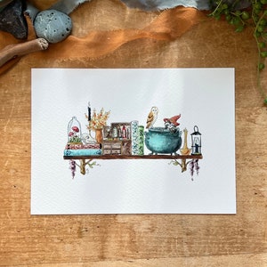 The Mini Forest Witch's Shelf Giclée Print - Etsy