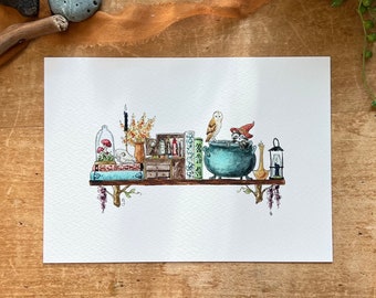 May include: A watercolor illustration of a shelf with a variety of objects, including a cauldron, books, a bird, a candle, and a lantern. The shelf is decorated with vines and flowers.