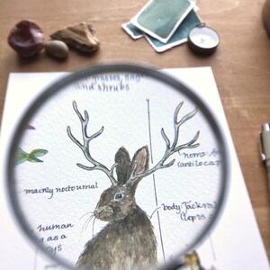 Jackalope Feldbericht - Giclée Druck Bild 9