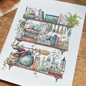 The Witch’s Shelves Postcard - Etsy
