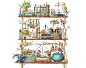 The Forest Witch's Shelves Giclée Print