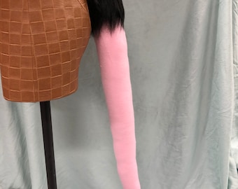 Opossum and Rat/mouse tail