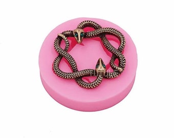 Double snake circular mould mold  / PMC / Precious Metal Clay / Jewellery Making / Baking / Resin /soap / polymer / cake decorating