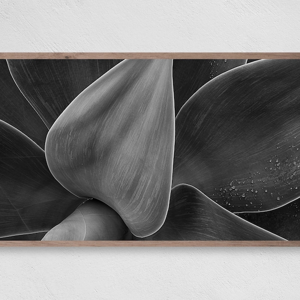 Samsung Frame TV Art | Black and White Palm Leaves | Digital Art Prints | Digital Download for Samsung Frame | Instant Download