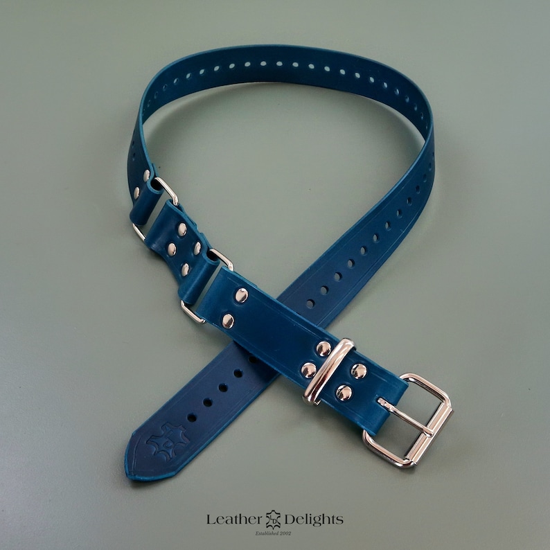 May include: A teal-colored collar with a buckle and metal hardware. The collar has a series of evenly spaced holes and is made of a flexible material. The brand name "Leather Delights" is printed at the bottom.
