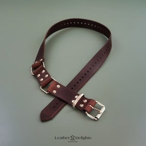 May include: A dark brown leather dog collar with silver-colored hardware. The collar has a buckle closure and is adorned with rivets. The image shows the collar against a muted green background. The text "Leather Delights" is visible.