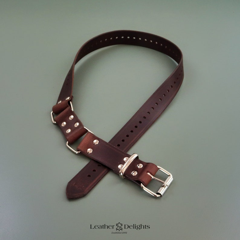 May include: A dark brown leather dog collar with silver-colored hardware. The collar has a buckle closure and is adorned with rivets. The image shows the collar against a muted green background. The text "Leather Delights" is visible.