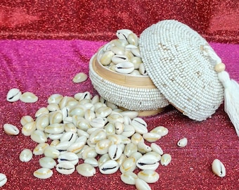 Cowrie Shells for Divination, Money Magic, Orisha and Deity Worship. Hoodoo, Santeria, Ifa, Vodou, Voodoo, Candomble and Folk Magic