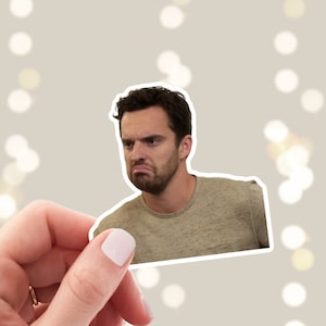 Nick Miller Sticker / New Girl Sticker / Glossy Sticker