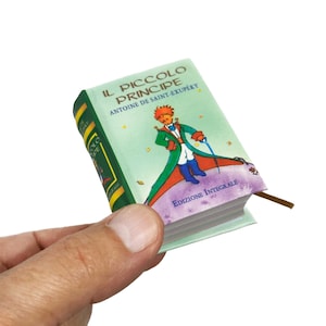 Il Piccolo Principe