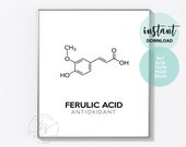 Ferulic Acid | Esthetician Decor | Spa Quote | Salon Quote | Spa | Salon | Skin Care Quote | Beauty Quote | Medical Spa | Print