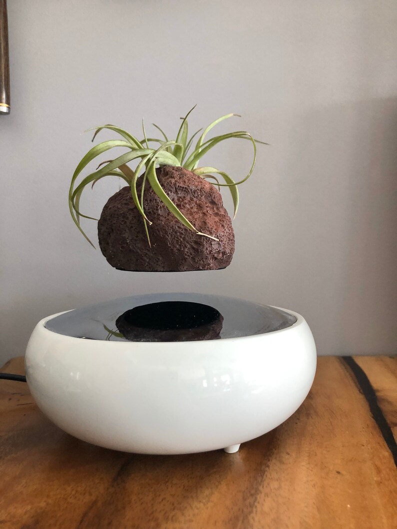 Floating levitating plant holdersucculent air Etsy