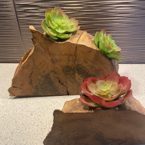 2 Live edge Spalted  Maple Burl/driftwood  Succulent/Air Plant planter/Pot-Hand Holder Made & One of a kind Rustic Flower Pot,  Cache,Flower