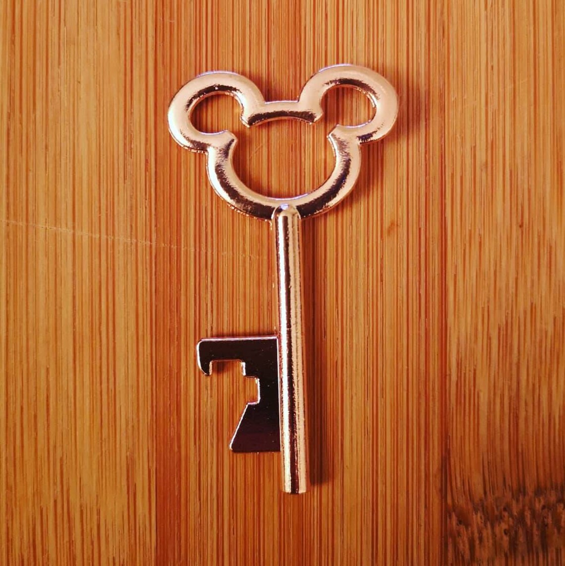 Disney Theme Bottle Opener Keys Including Personalised Tags Etsy Ireland