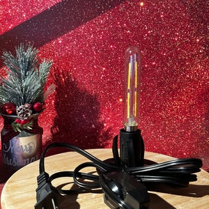 May include: A black electrical cord with a plug and a switch, connected to a black socket with a clear glass light bulb. The light bulb has a warm white glow.