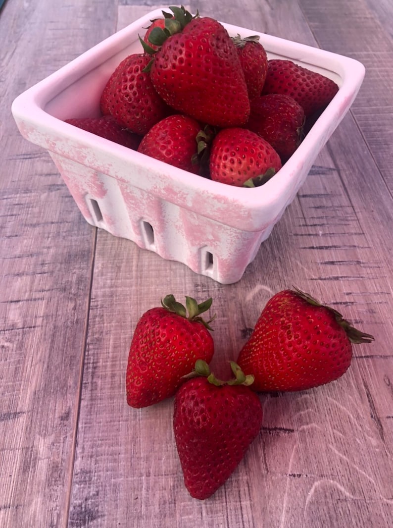 Berry Basket 70 Colors Ceramic Pottery Ceramic Berry Etsy