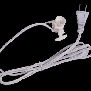 May include: White electrical cord with a plug on one end and a light socket on the other end.