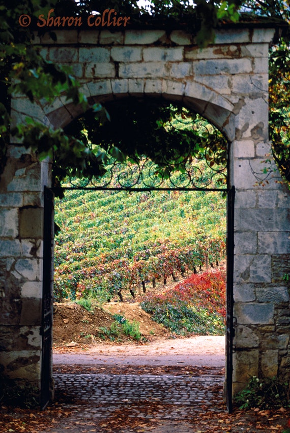 stone gate vineyard