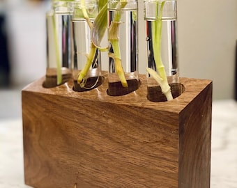 Solid walnut propagation station