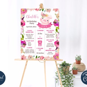 modello di cartello per il primo compleanno del maiale, poster modificabile per il primo compleanno, cartello stampabile per il primo compleanno, poster per il compleanno del maiale