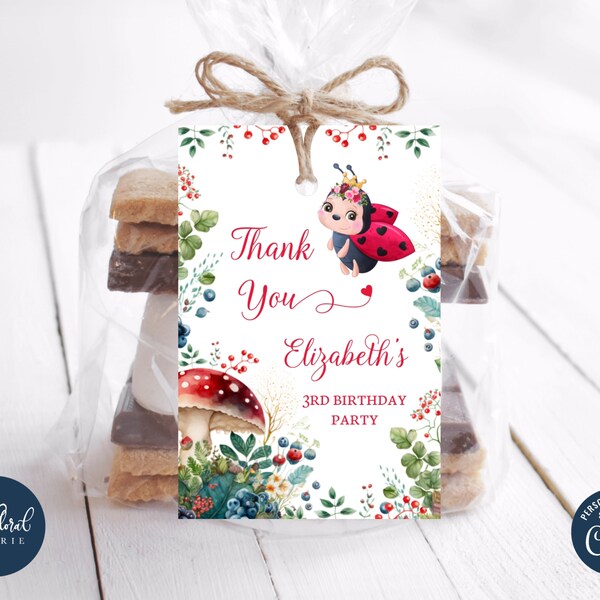 Ladybug Favor Bags - Etsy