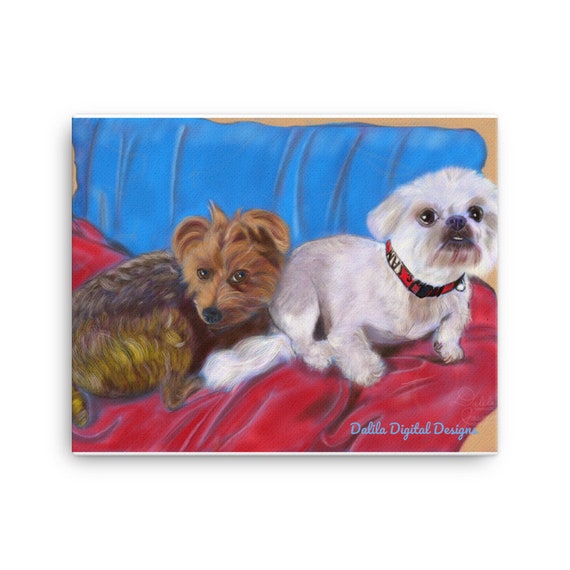 yorkshire terrier cross shih tzu