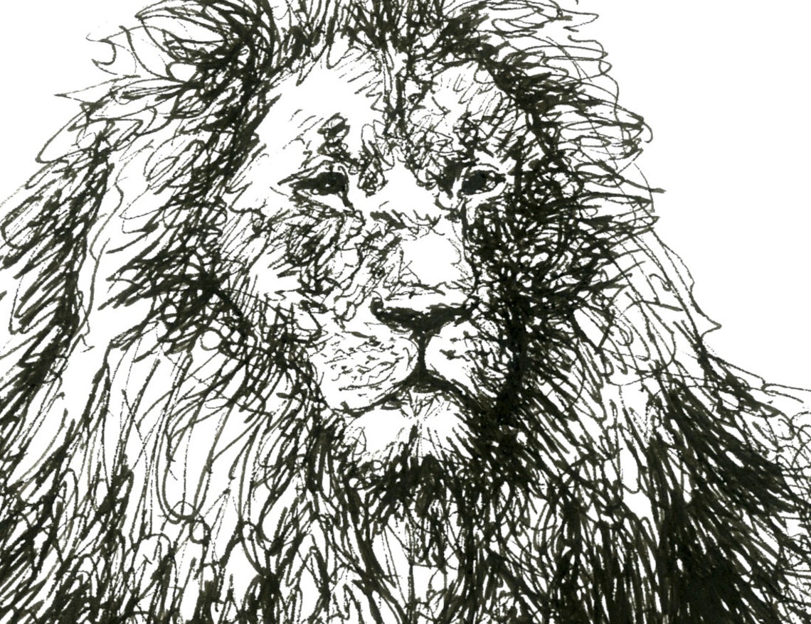 Lion Pen and Ink Drawing Original Fine Art Print Etsy