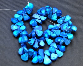 May include: A strand of blue and white gemstone beads, each bead is shaped like a triangle with a rounded edge. The beads are strung on a clear thread.
