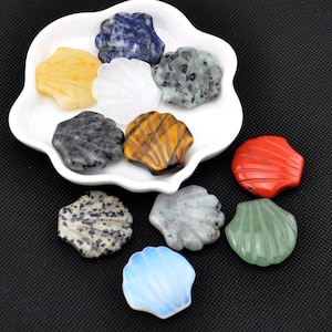 Pode incluir: Conjunto de nove conchas de pedras preciosas polidas em várias cores, incluindo azul, amarelo, branco, cinza, marrom, vermelho e verde. As conchas são exibidas em um prato branco.