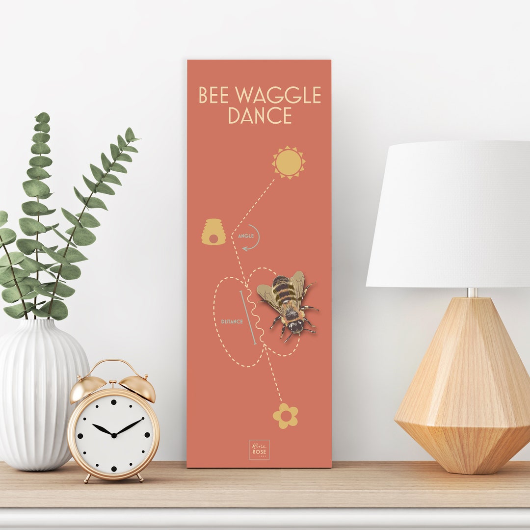 Bee Waggle Dance - Etsy