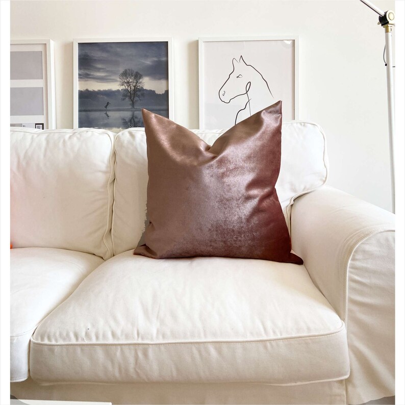 May include: A white sofa with a blush pink velvet throw pillow. The sofa is in a living room with two framed pictures on the wall behind it.