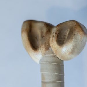 May include: Close-up of a wooden club with a light brown finish. The club has two rounded knobs at the top, resembling ears.