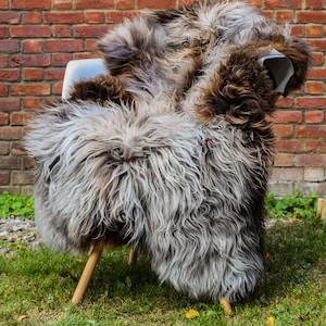 Echte zeldzame natuurlijke schapenvacht HERDWICK zachte wolmix natuurlijke kleuren zeer zachte dikke vacht natuurlijke schapenvacht 110-120 cm x 60-70 cm
