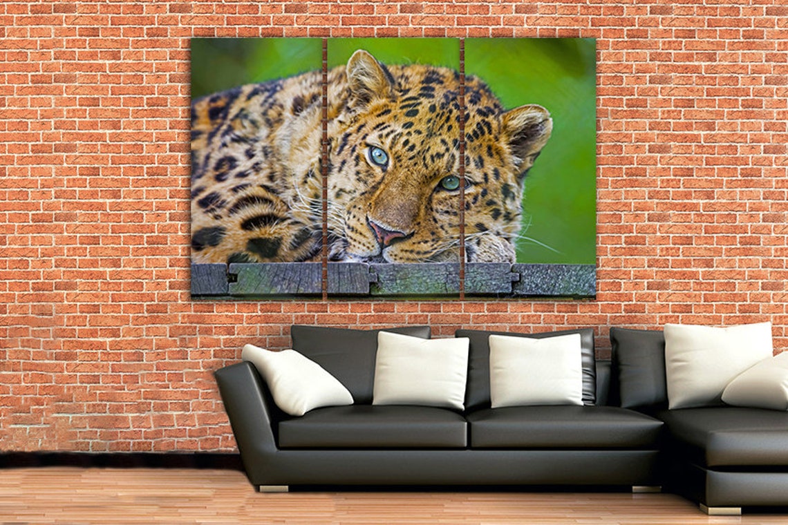 Leopard print Leopard canvas Leopard decor Leopard wall art Etsy
