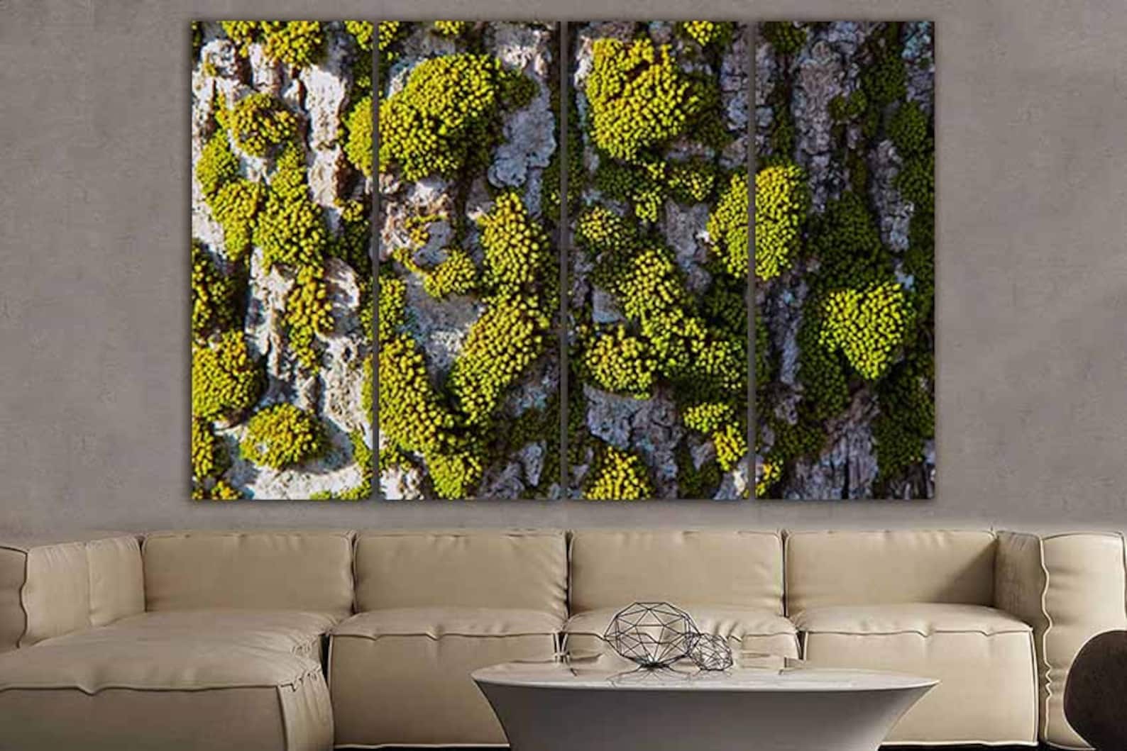 Moss Print Moss Canvas Moss Wall Art Moss Décor Nature Decor Etsy