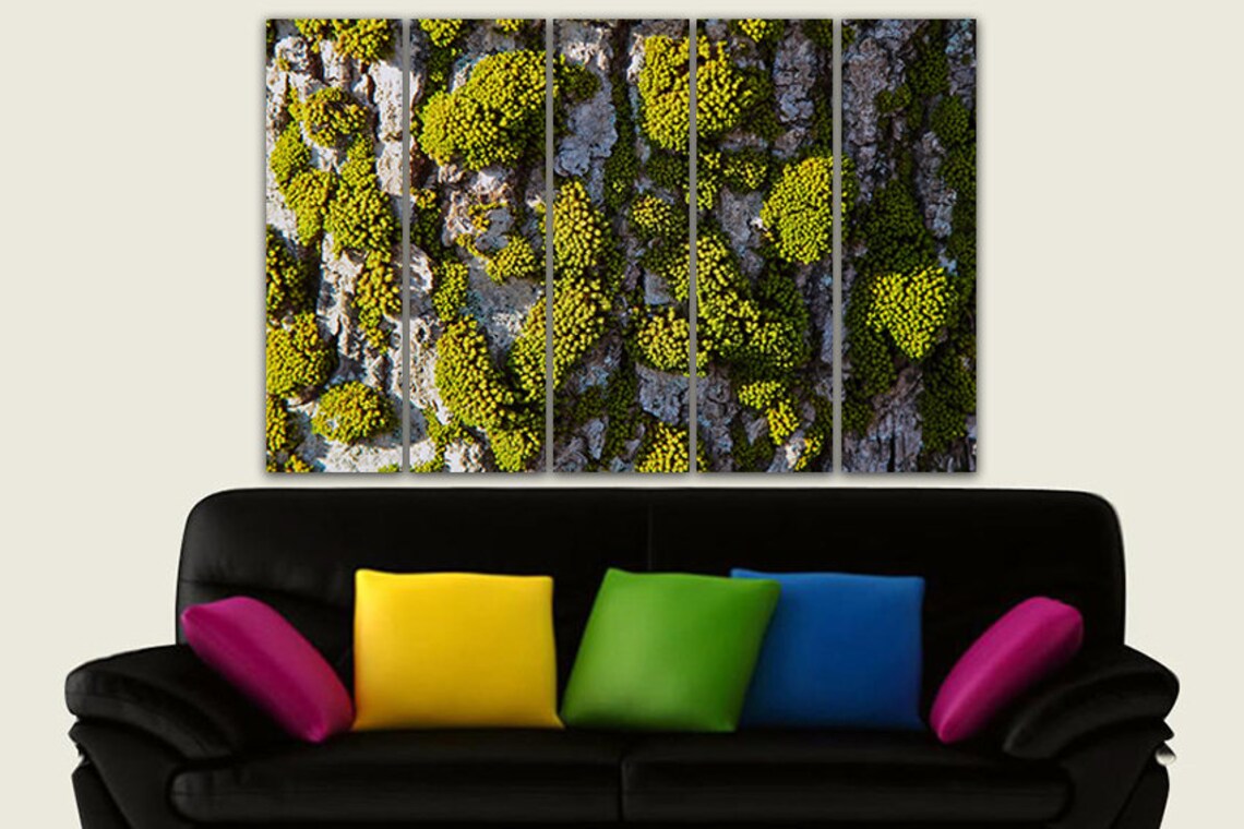 Moss print Moss canvas Moss wall art Moss décor Nature decor Etsy
