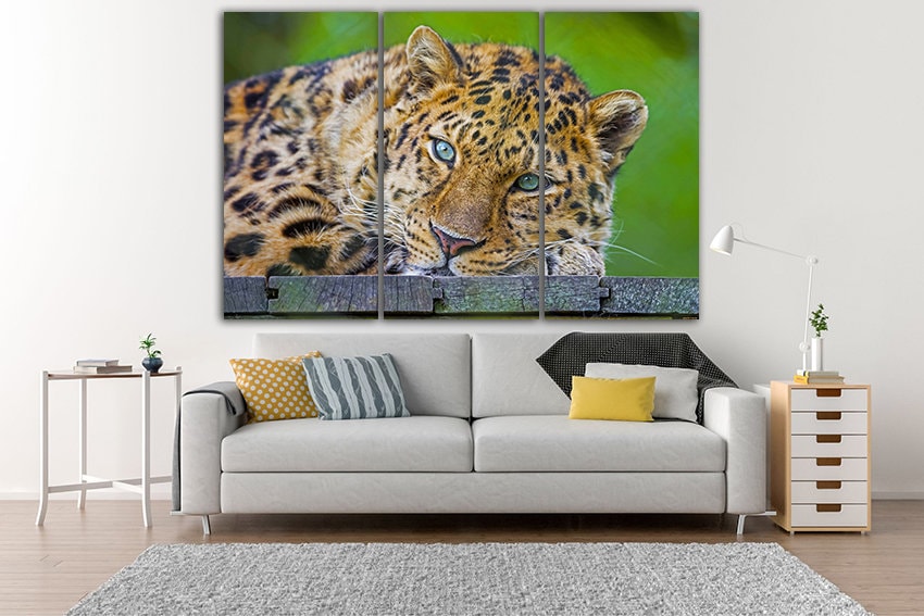 toms leopard print canvas