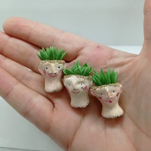 Miniature flowers.  mini  succulents in funny pot heads. Size 2,5 - 3 cm. Dollhouse plants.