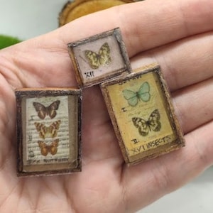 Miniature set of 3pcs for doll house. Miniature notebook. Tiny succulent. Mini frame with butterflies.
