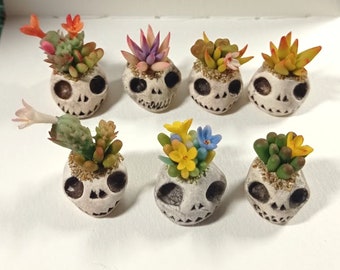 Miniature succulents and cactus for dollhouse. Miniature dollhouse halloween plants.  Mini succulents in skulls. Halloween cactus.