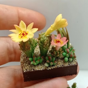 Miniature сomposition of mini succulents and cactus. plants for dollhouse.