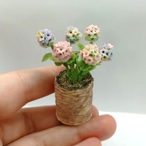 Miniatur rosa und blaue Hortensie für Puppenhaus im Topf. Puppenhaus Pflanzen.