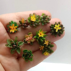 Miniature air dry clay succulents for dollhouse. Miniature plants, miniature houseplants, miniature garden, dollhouse garden