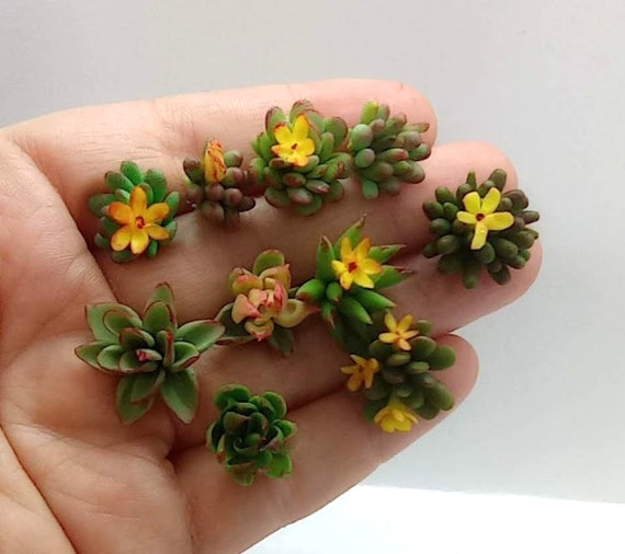 Set of 10 Several Potted Miniature Flowers Multicolor Dollhouse Garden  Accessory