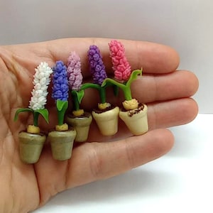 Könnte beinhalten: Sechs Miniatur-Hyazinthenpflanzen in verschiedenen Farben, darunter Weiß, Lila, Rosa und Lavendel. Die Pflanzen befinden sich in kleinen braunen Töpfen und sind in einer Reihe auf einer Hand angeordnet.