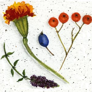 Set di cartoline digitali stampabili e scaricabili - Acquerello botanico stampabile. Set di 10 immagini.