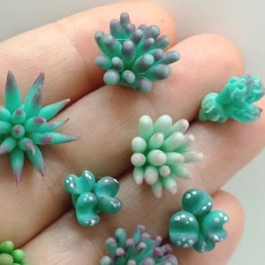 Miniature air dry clay succulents for dollhouse. Miniature plants, miniature houseplants, miniature garden, dollhouse garden
