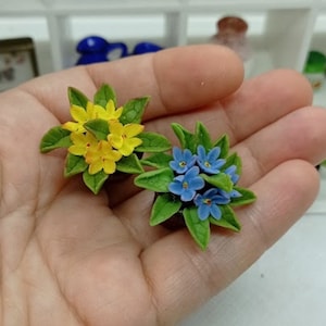 Könnte beinhalten: Zwei Miniatur-Topfpflanzen mit detaillierten gelben und blauen Blüten. Die gelben Blüten haben orangefarbene Zentren, und die blauen Blüten haben gelbe Zentren. Die Pflanzen haben grüne Blätter und stehen in kleinen braunen Töpfen. Nahaufnahme.