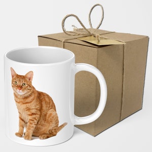 Coaster Gift Set Because Cats Funny Ceramic Coffee MUG
